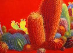 cactuswoman2001@gmail.com's picture
