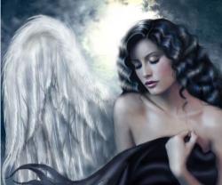 Dove's picture