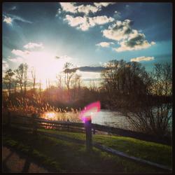 liafiorano's picture