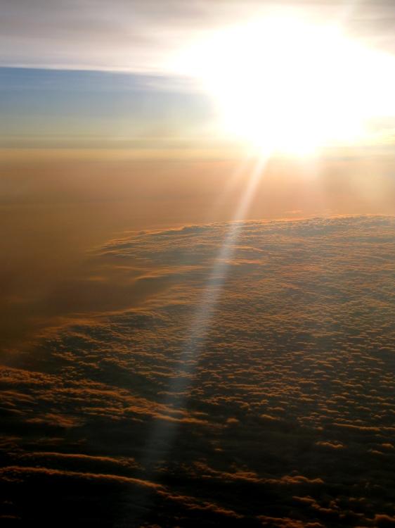 jmbarrett19's picture