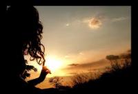 Holly--Priscilla18's picture