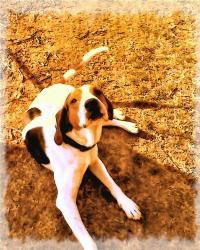 Fallsintodarkness's picture