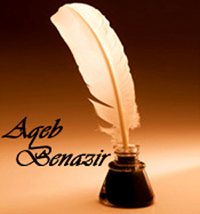 AqebBenazir's picture