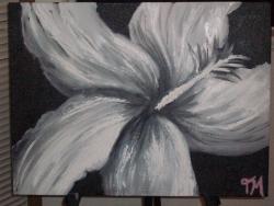 jessicaswan20's picture