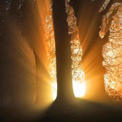 MorningSunshine's picture