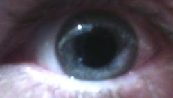 ryan.......'s picture