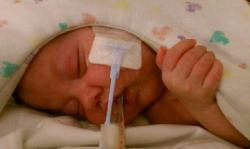 talianiwaya's picture