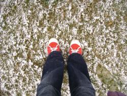 nicoletori's picture