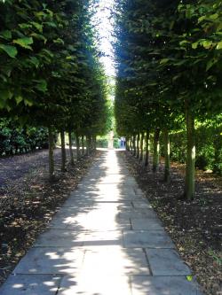 dottedxline's picture