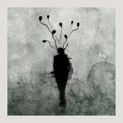 RaineyCool's picture