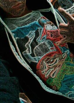 ibleedblue's picture