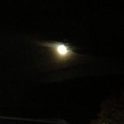 YouAreReadingMyUsername's picture