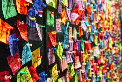 nelgenielark's picture