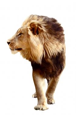 Sone-Jealic's picture