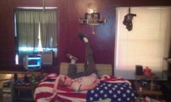 Budtheturtle's picture