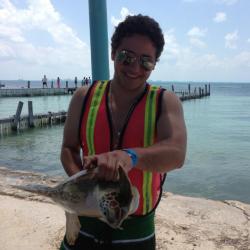 Ivan809349's picture