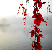 Monsters-Following's picture