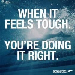 kacinicole819's picture