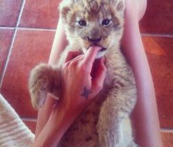 lessthanperfect's picture