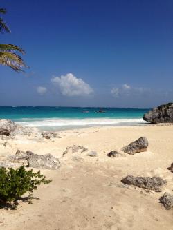 Ana.Barbara's picture