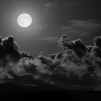 calebbieniek's picture