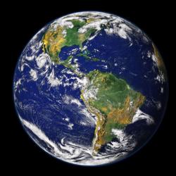 mario_1196's picture