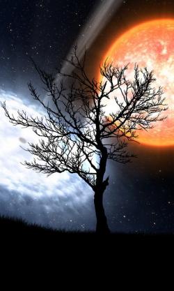 ProductofFate's picture