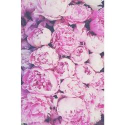 karinacardenasr's picture