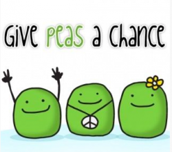 LizaVillarreal's picture