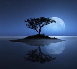 Serenity103's picture