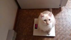 katydid1947's picture