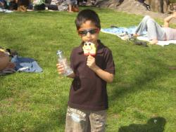 KrishnaAdhikari41's picture