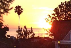 annalizzzzz's picture