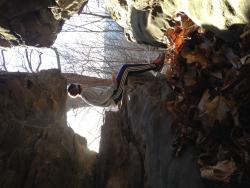 WhoIWantToBe's picture