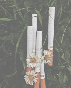 lillyivanova's picture