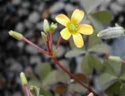 MariaFernanda's picture