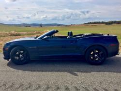 Emotionsturnedtowords's picture