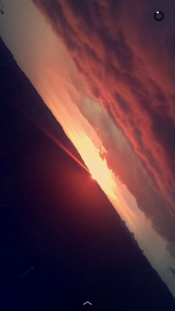 Rowyourboat's picture