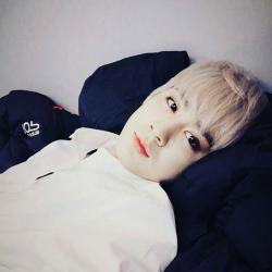 Ayomi-Shunsho's picture