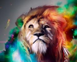 KileMOwens's picture