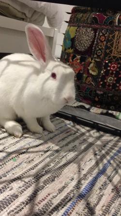 Danysantos4's picture