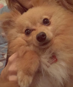 andreaguzmanc's picture