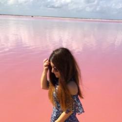 andyquintal's picture