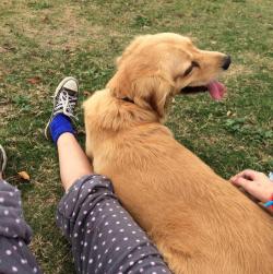 Ana-Castillo's picture