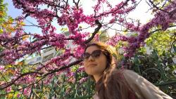 Andrea_999's picture