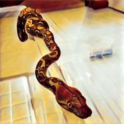 GuillermoP's picture