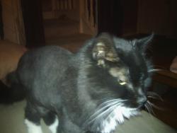 Danielguy1965's picture