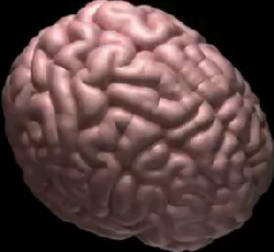 malnourished's picture