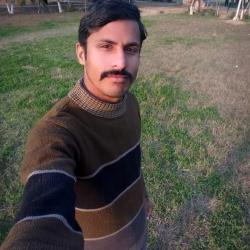 kamilluqman's picture