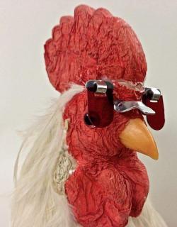 SheIsntSheilaSummar@gmail.com's picture